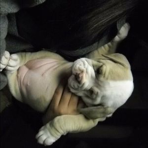 Meet your Posher, Shelby